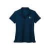 Image de Polo Dri-Fit micro piqué Nike - NKDC1991